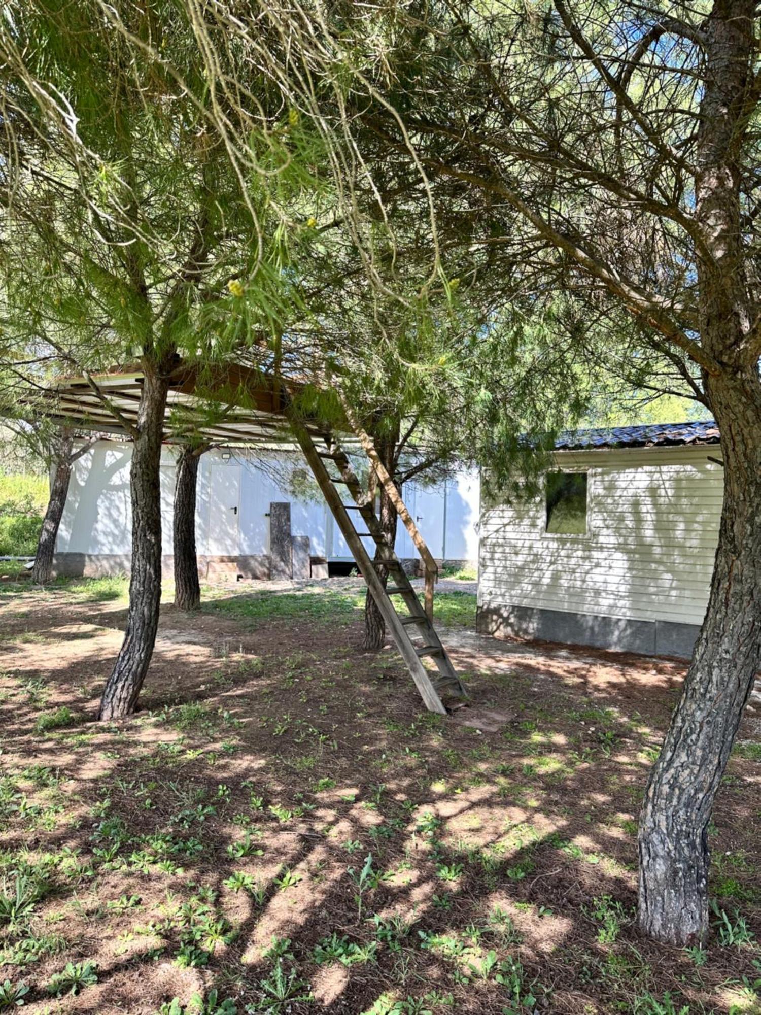 Bungalow Infanta Torrelaguna ภายนอก รูปภาพ