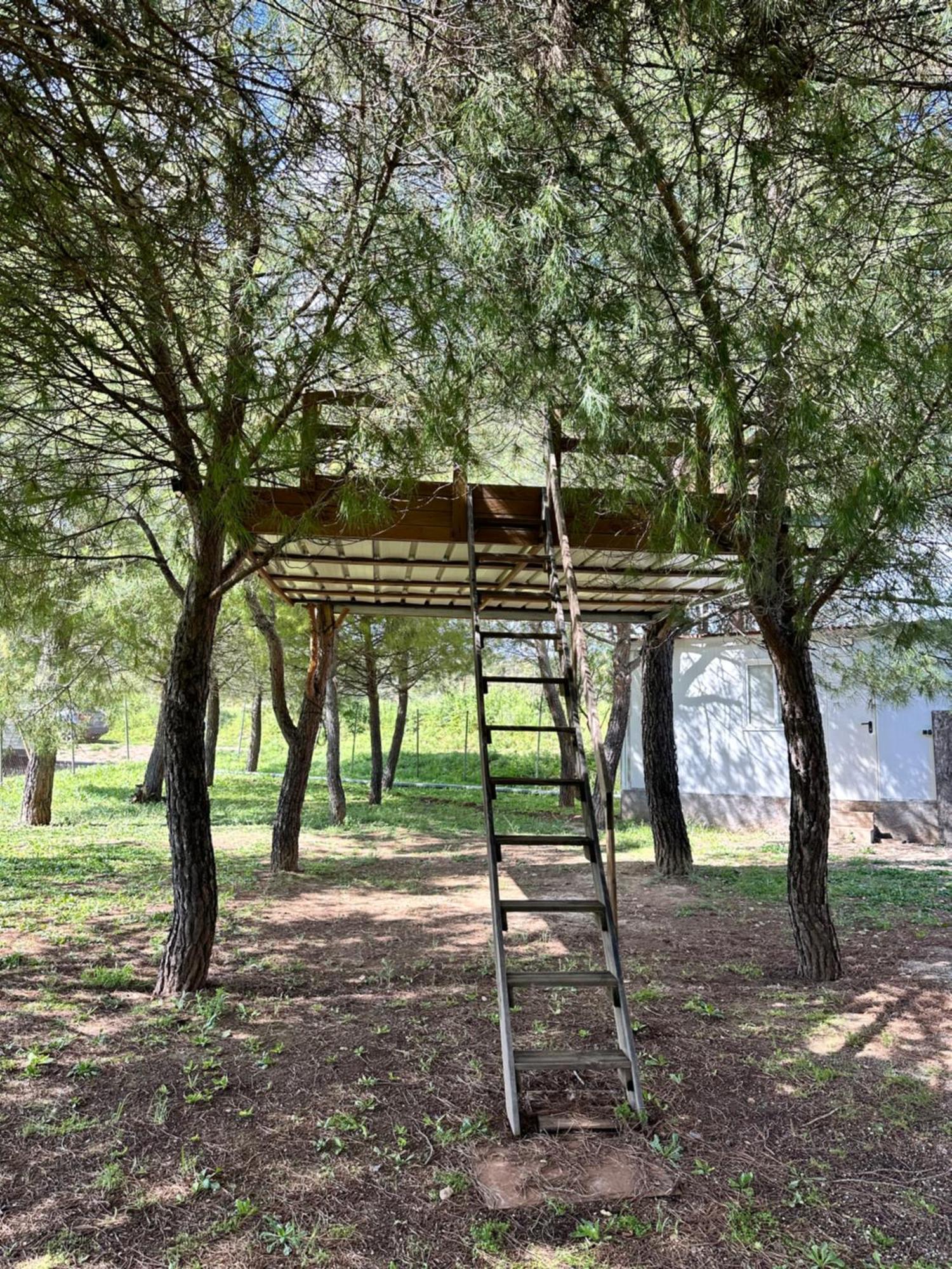 Bungalow Infanta Torrelaguna ภายนอก รูปภาพ