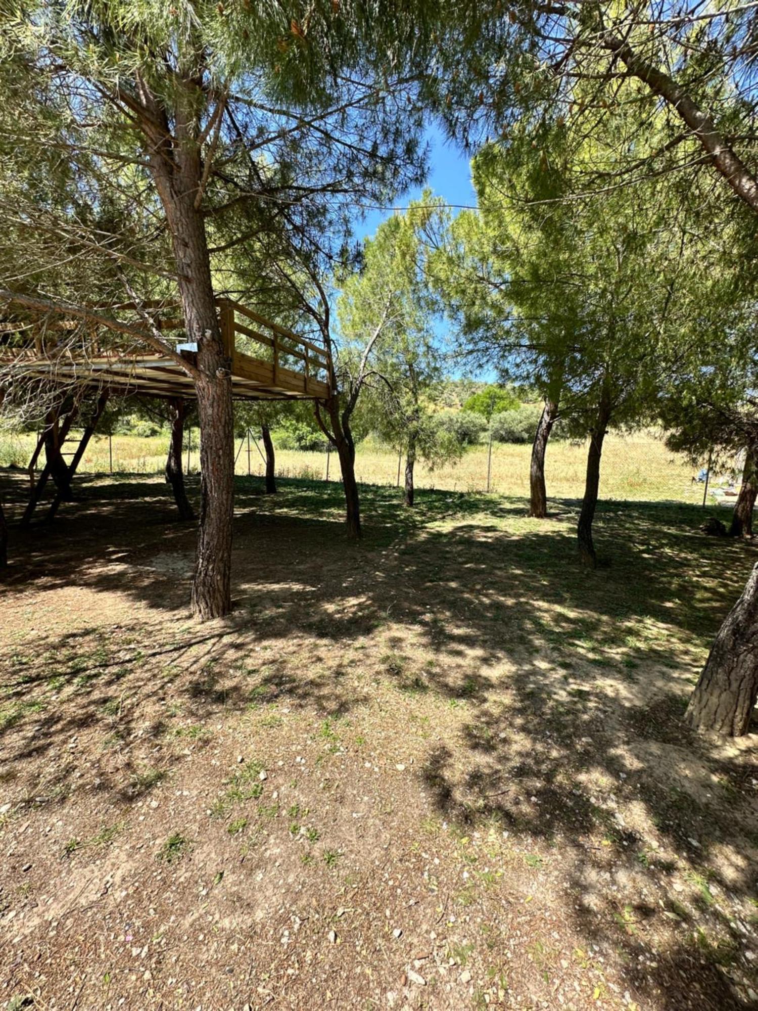 Bungalow Infanta Torrelaguna ภายนอก รูปภาพ
